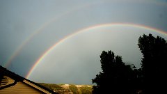 DSC03290