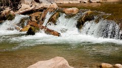 DSC03636