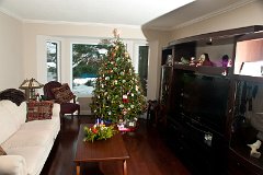 DSC04164