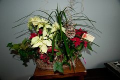 DSC04362