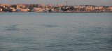 HEL03534